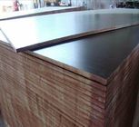 Concrete Formwork Film Faced Marine Plywood , WBP Glue Film Coated Plywood Panel