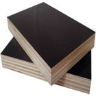 Melamine Glue BB/BB Black Film Coated Plywood , Soundproof Exterior Cedar Plywood Panels
